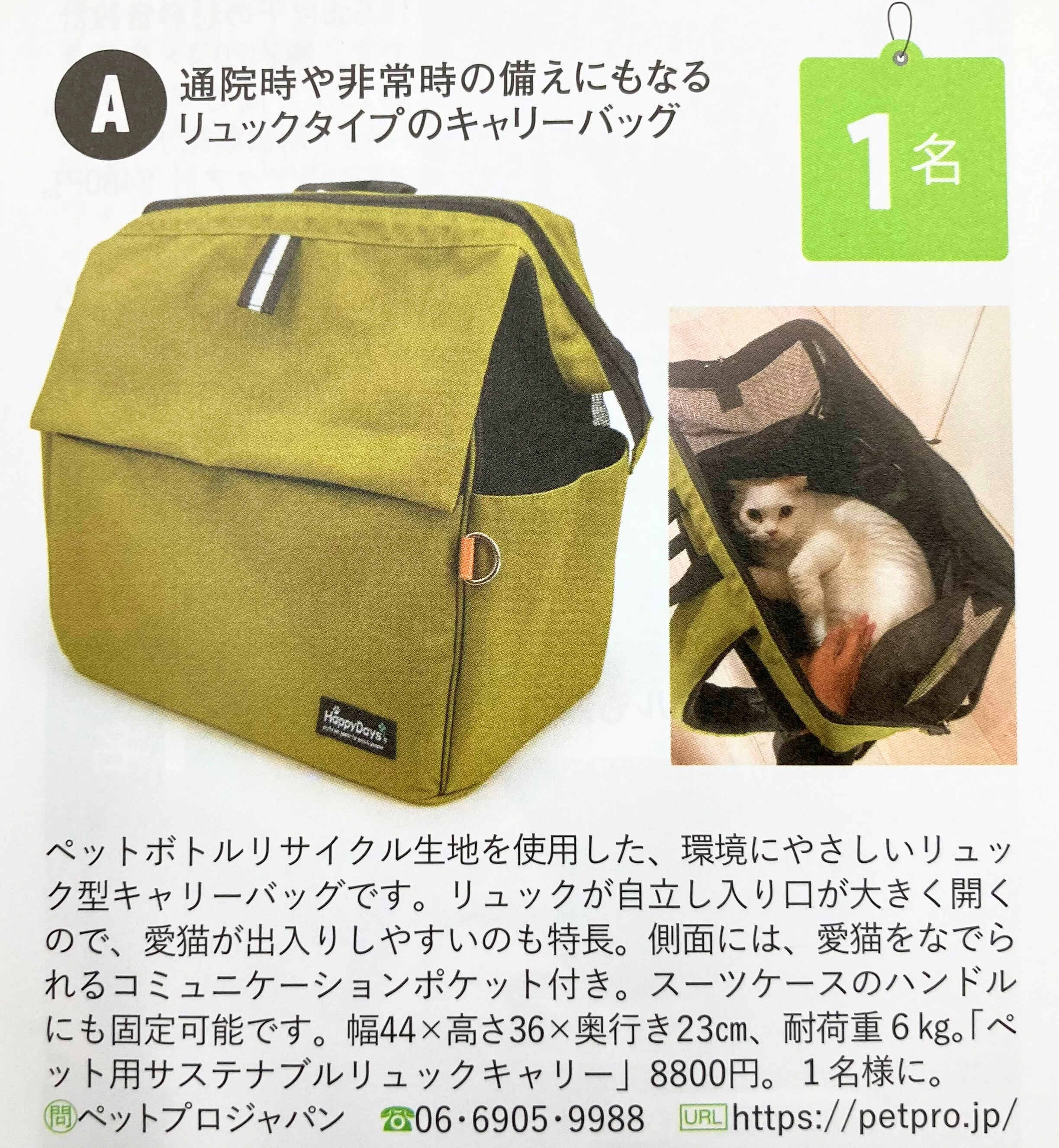 ねこのきもち5月号(vol.228)』に掲載されます? - ペットフード 